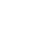 custom_website